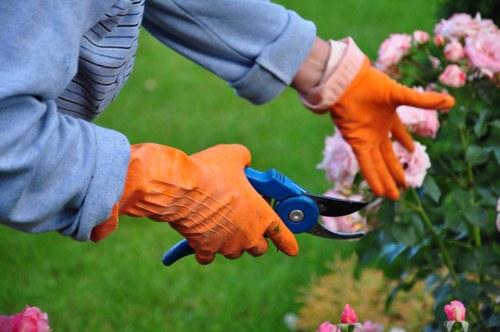 Photo of a gardener meeting with a resident, showing accessible communication options