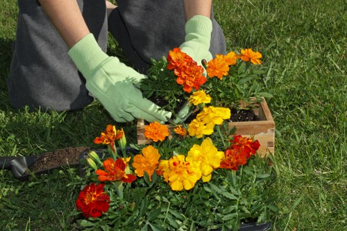 Tools and techniques for effective hedge trimming