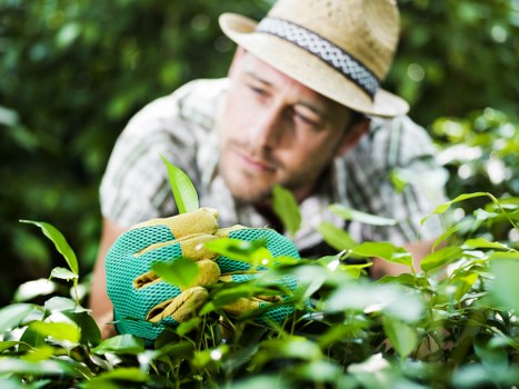 Close-up of a gardener in Plaistow demonstrating tool accessibility features