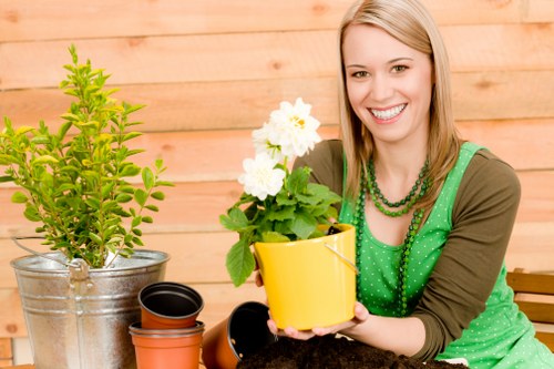 Man and van removing green waste from a terrace