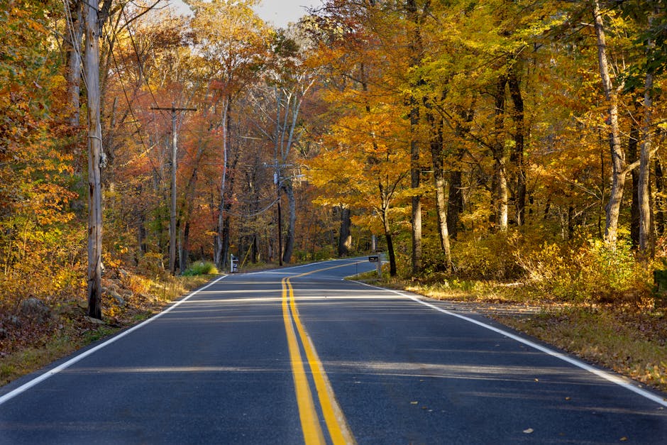 A two-lane rural road with freshly painted yellow double lines runs through a dense forest during autumn, with trees on both sides displaying vibrant orange, yellow, and brown foliage. The paved road 